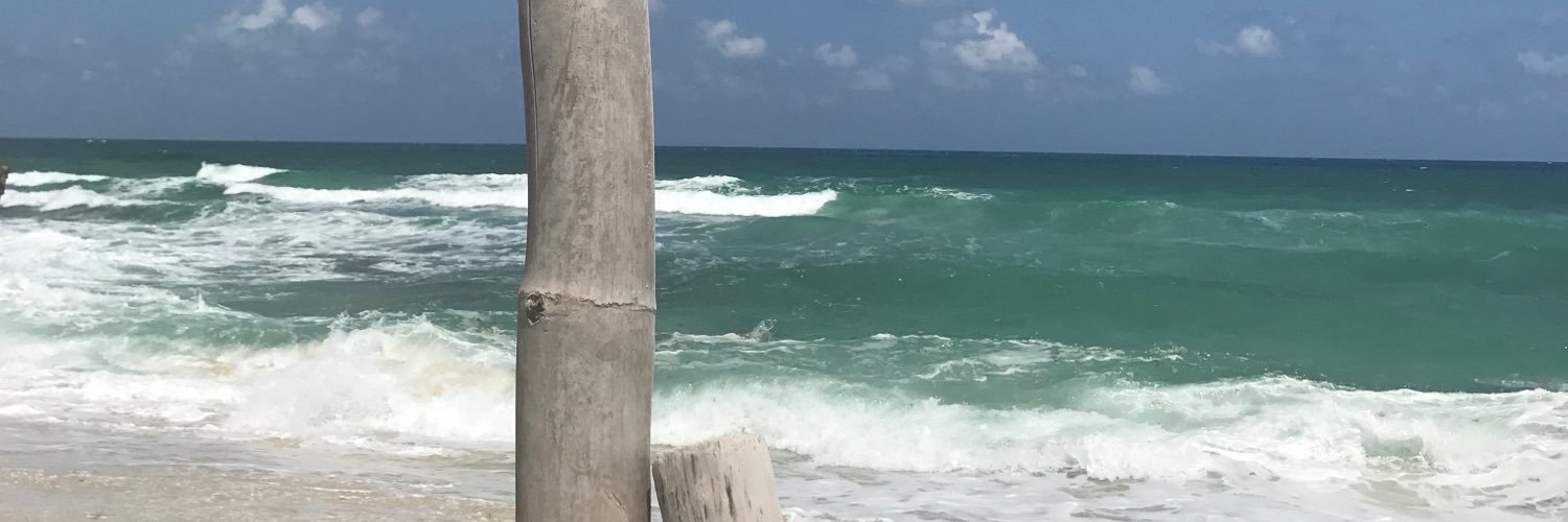 Brendajav's profile banner image