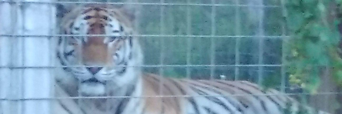 tabberdee's profile banner image