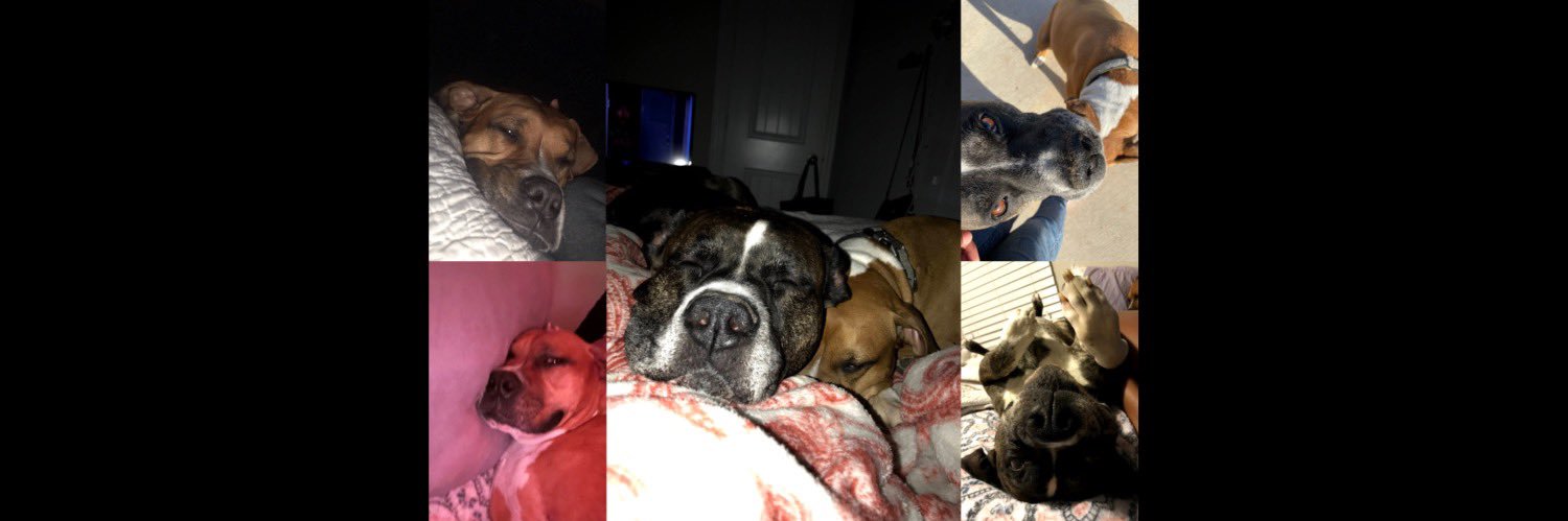 𝚖𝚊𝚍𝚍𝚢 ❦ banner