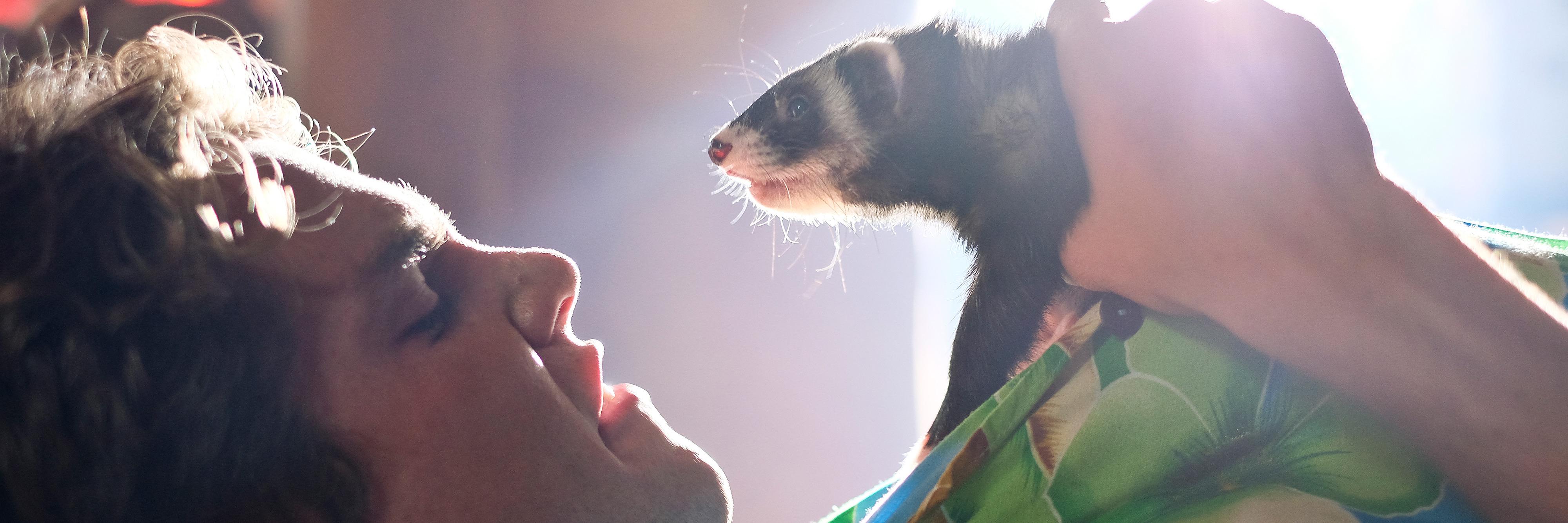 Ferret420's profile banner image