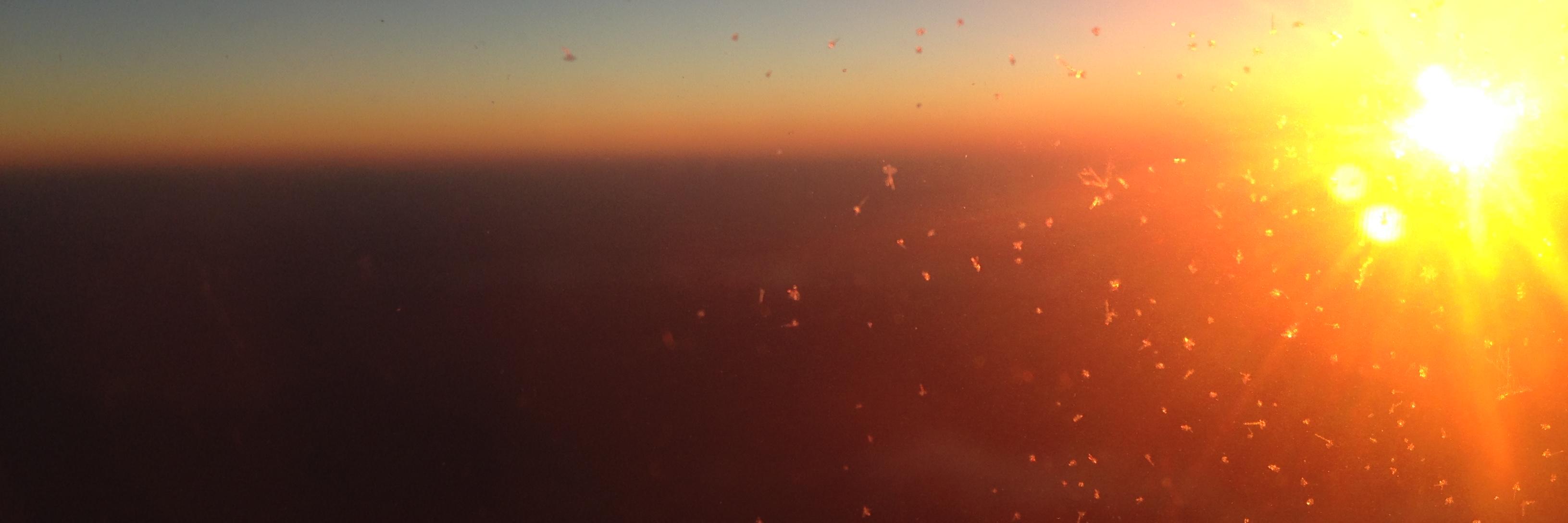 Focolares España banner