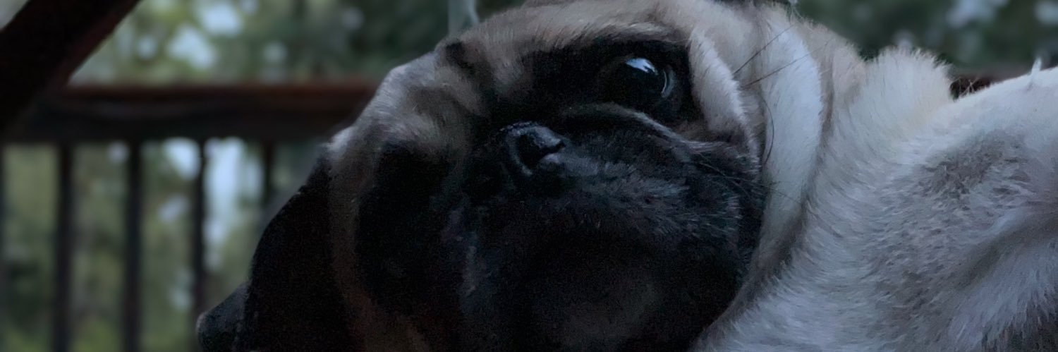 superpozition's profile banner image