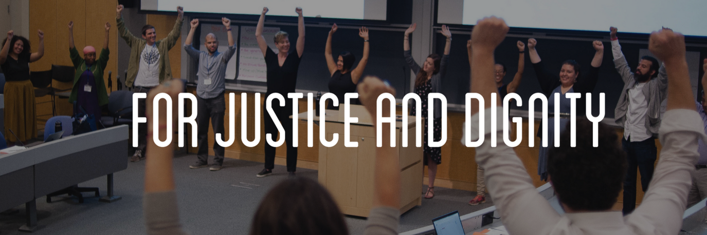 Advocacy Institute banner