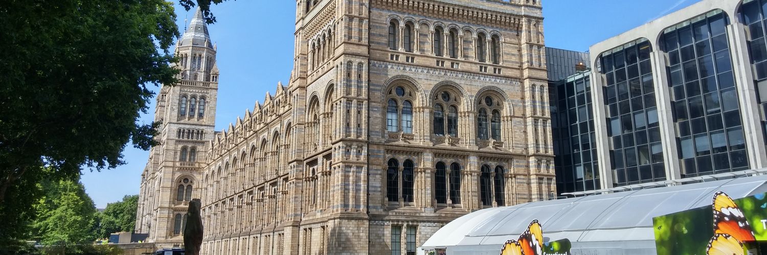 kyria 🍃🇨🇾 banner