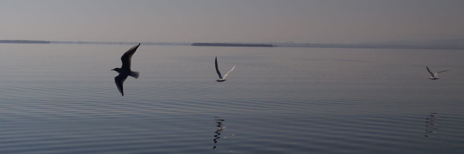 luuci_ayuso's profile banner image