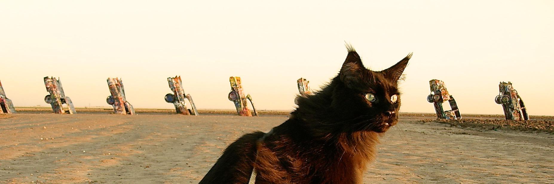 Otisoredding's profile banner image