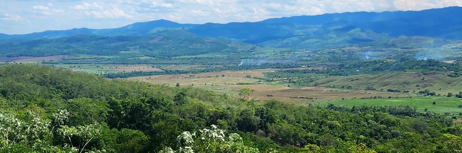 Nancy Martínez banner