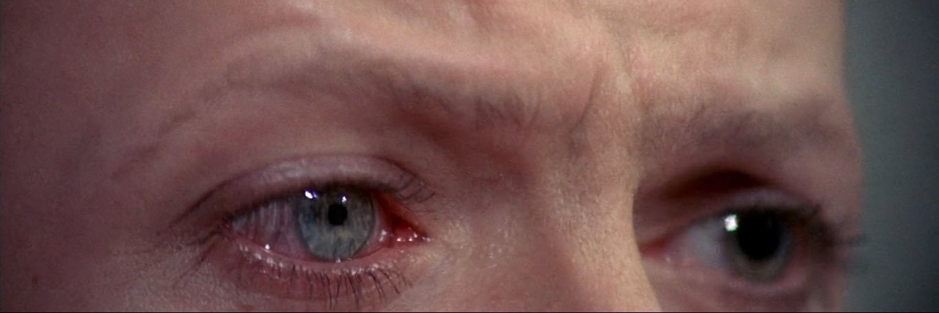 jenni jurupinga ☾･ﾟ⋆*☆ﾟ𖦹 banner