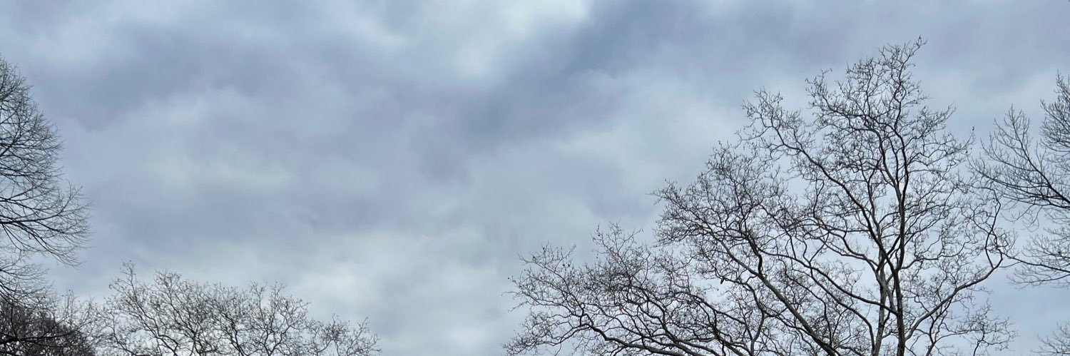 GitaMaga's profile banner image