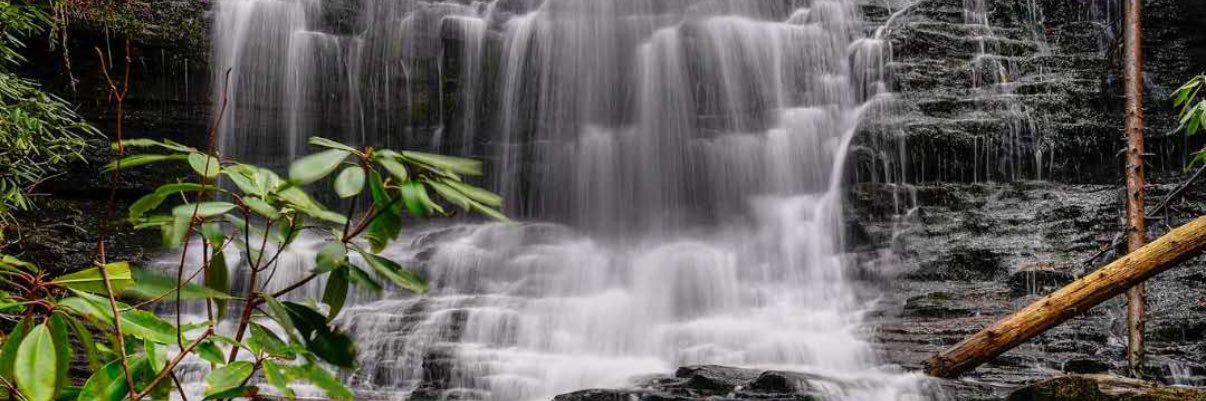 Isabel👑💎WW banner