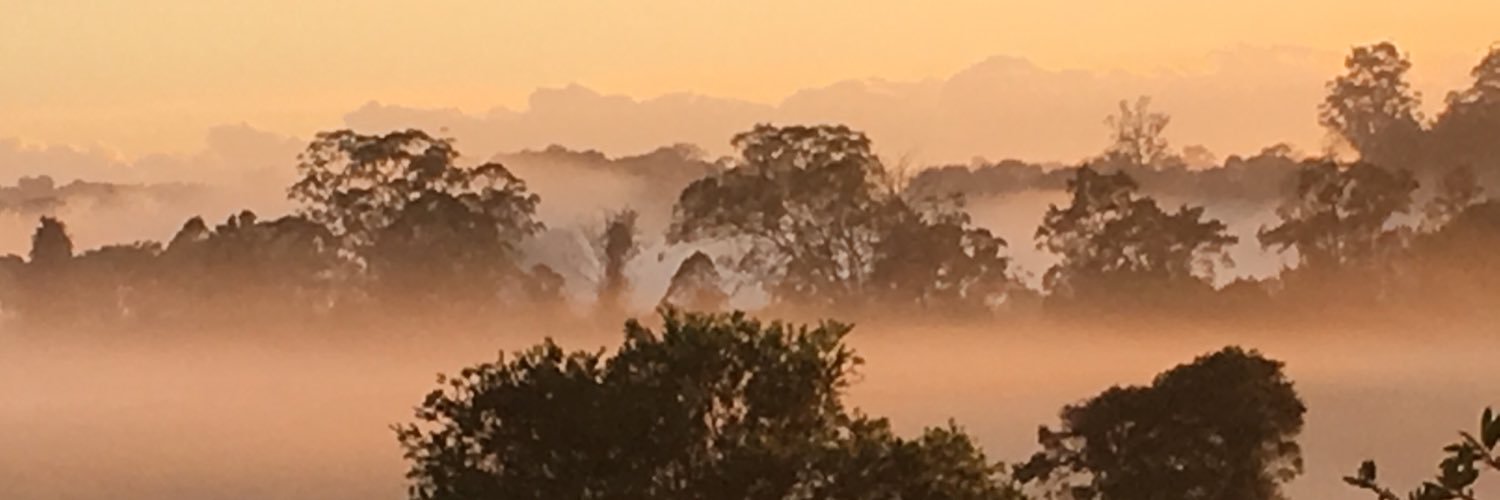 DaniPalmer's profile banner image