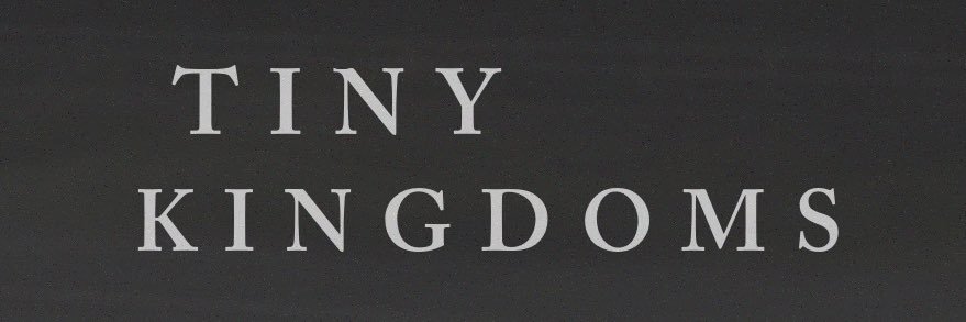 Tiny Kingdoms banner