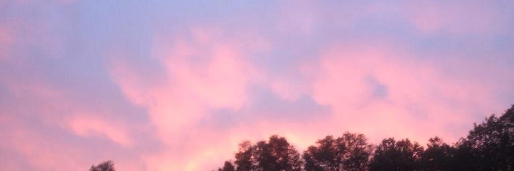 Stéphane VandenEede banner