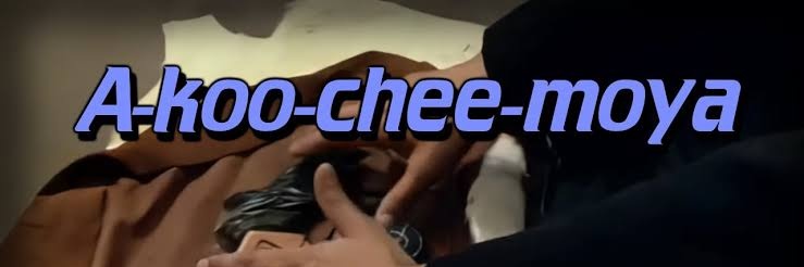 🕊 Zazzou 🦜 banner