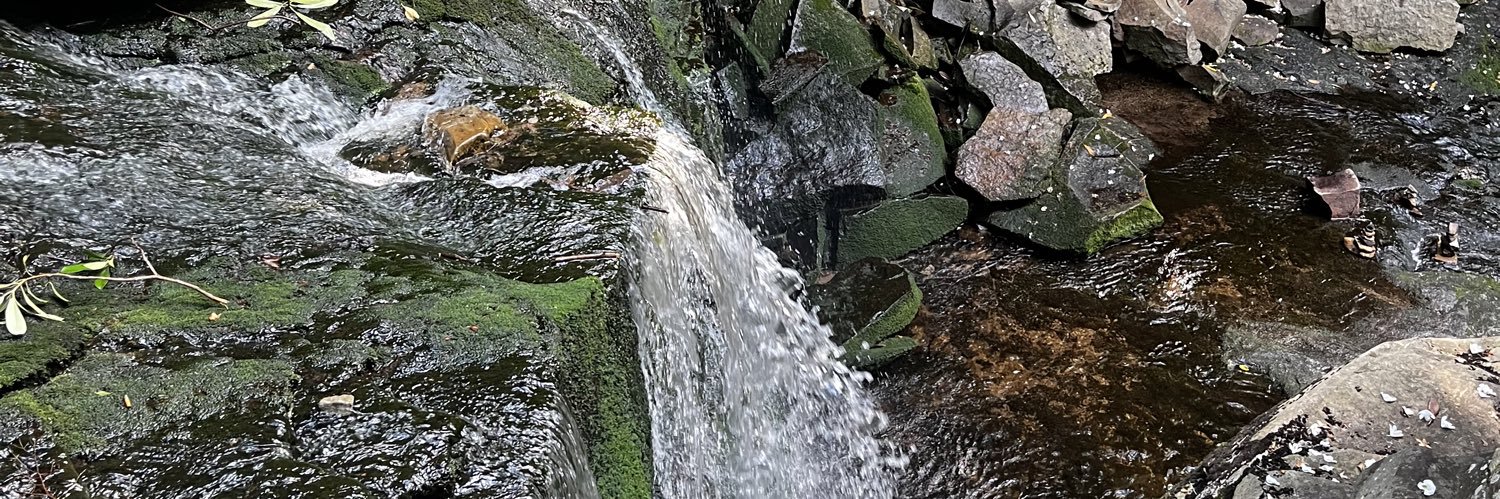 laurbrittt's profile banner image