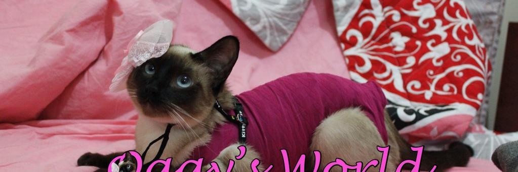 oggysworld's profile banner image