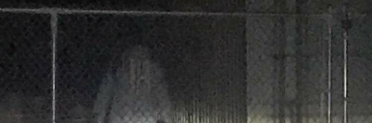 EmmaRobertFan's profile banner image