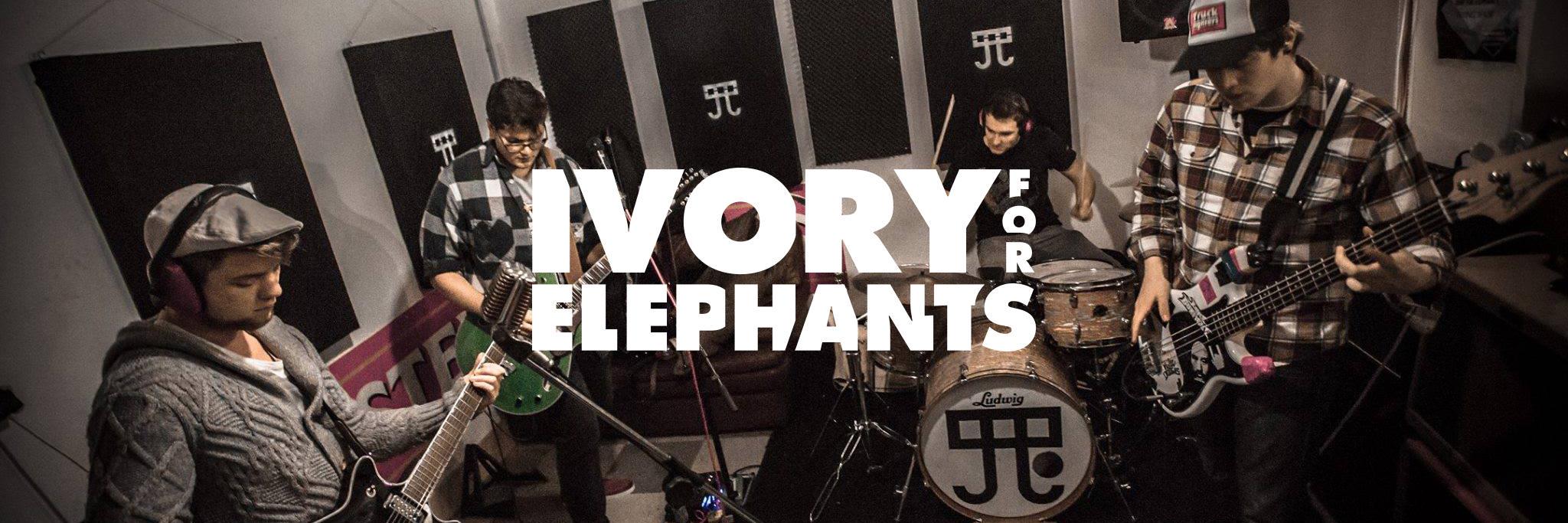 ivoryelephants's profile banner image