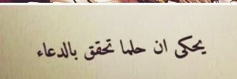 alinen__Doaa's profile banner image