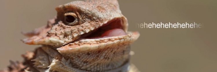 k_pedd's profile banner image