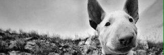 maycolbrox's profile banner image
