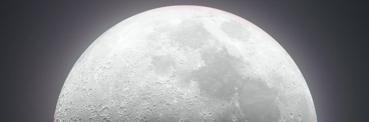 ChelleInked's profile banner image