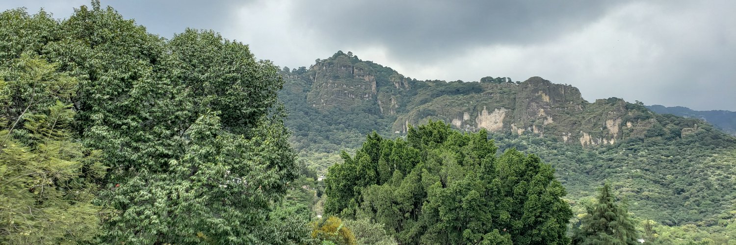 laurafca's profile banner image
