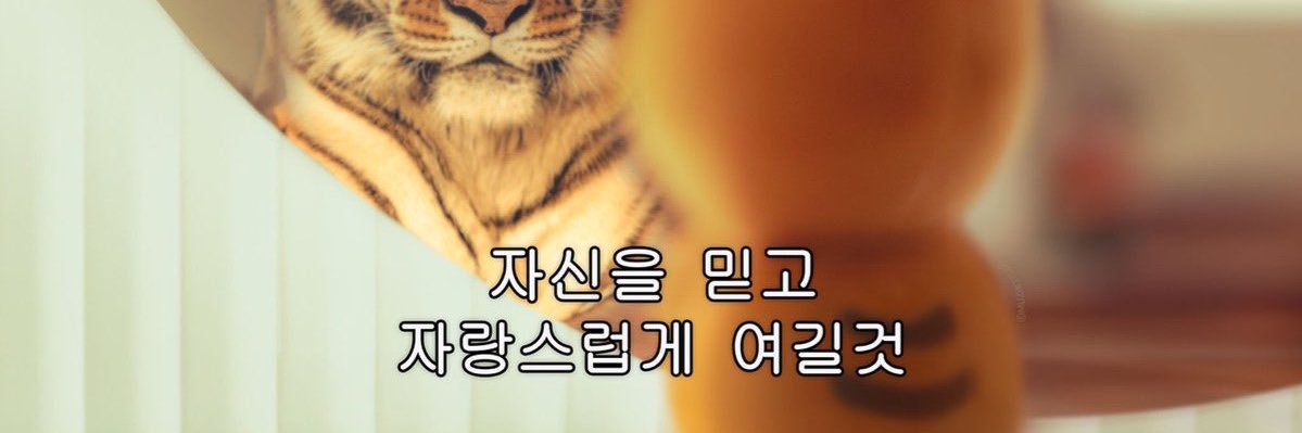 wookisky's profile banner image