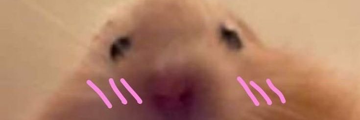 dolceqngel's profile banner image