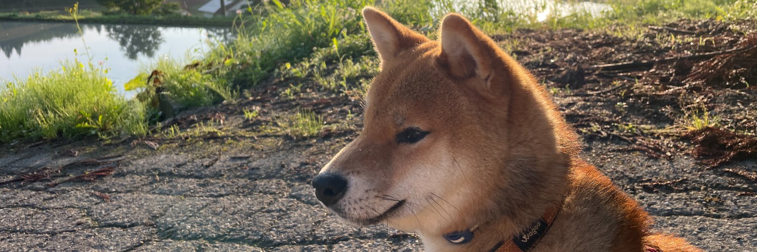農民トレーダー　よこ banner