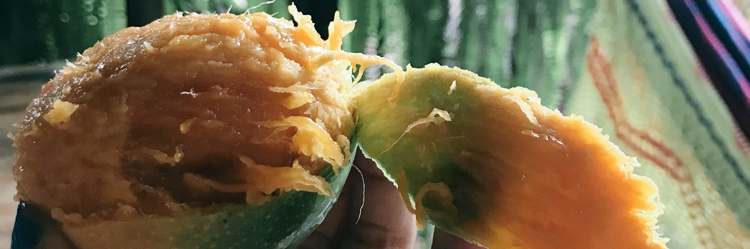 Stephanie Jimenez banner