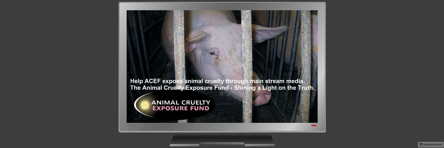 AnimalCruExFund's profile banner image