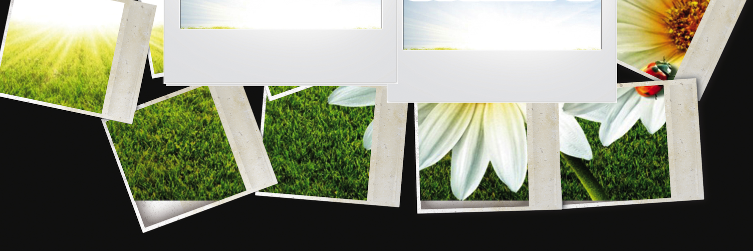 100DoSWebSeries's profile banner image