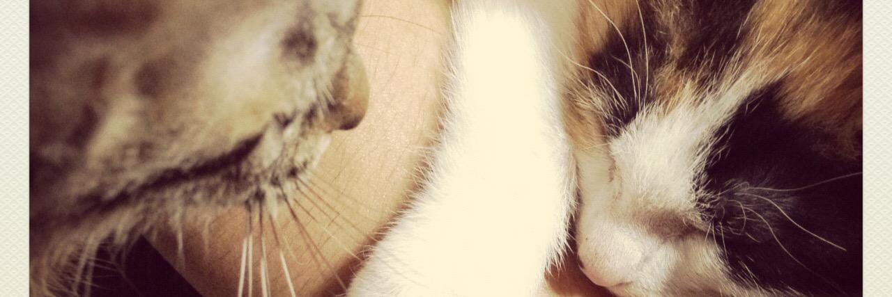minchise's profile banner image