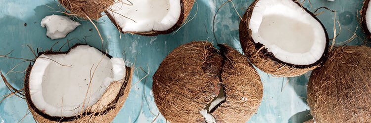 camicoconut's profile banner image