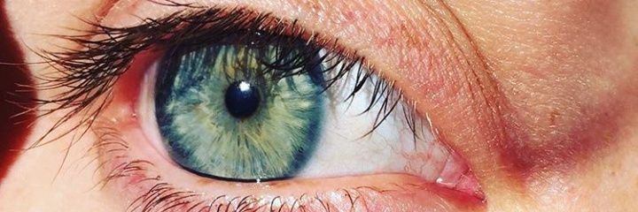 BMillone's profile banner image