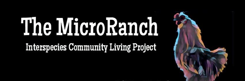 TheMicroRanch's profile banner image