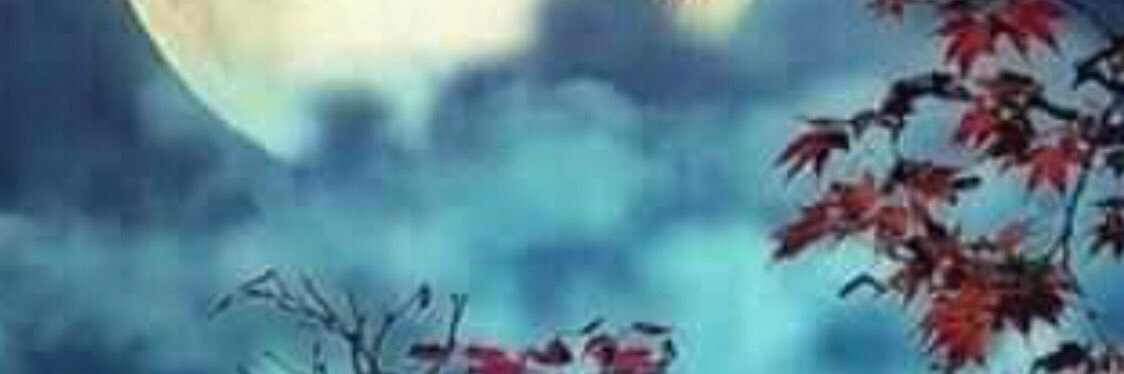 zyad12a's profile banner image