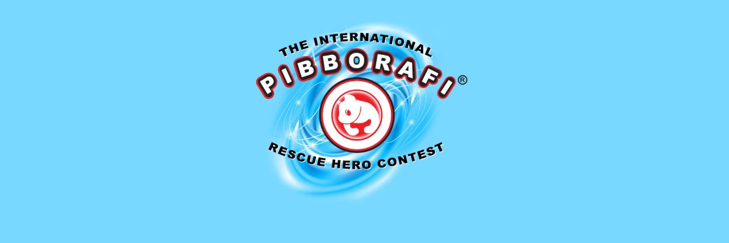 Pibborafi's profile banner image
