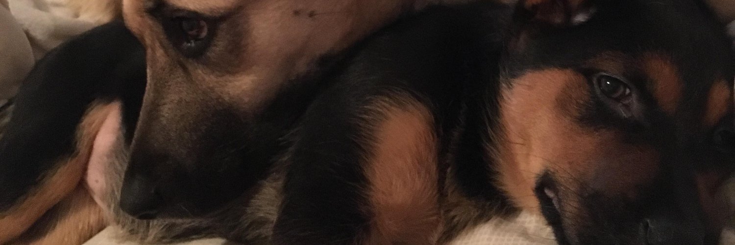 KellyPriceFTW's profile banner image