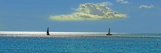 ttoktaylor's profile banner image