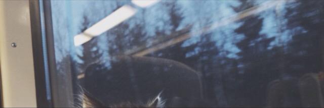 wtfjaspar's profile banner image