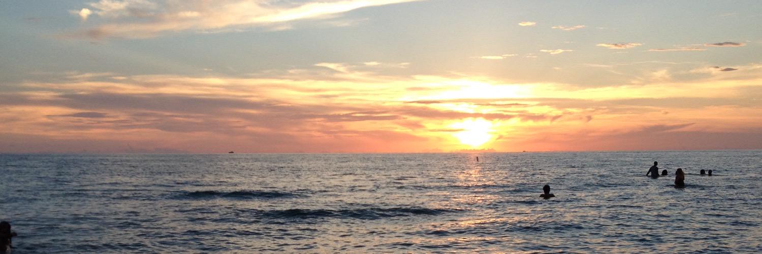 Stephanie Tretolo banner