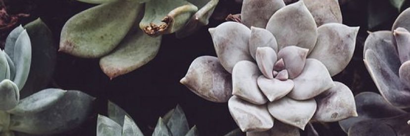 _hannahBOSS's profile banner image
