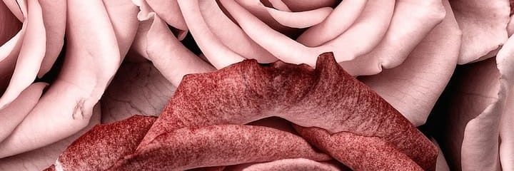 Adebesin Damilola ☆ banner