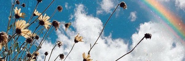 lexwheels's profile banner image