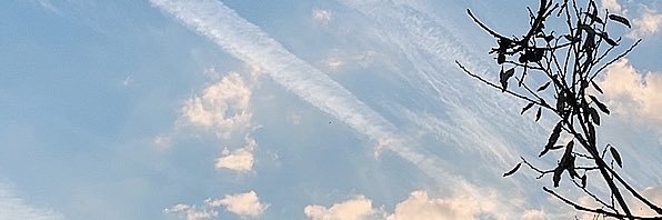 y_youcf's profile banner image