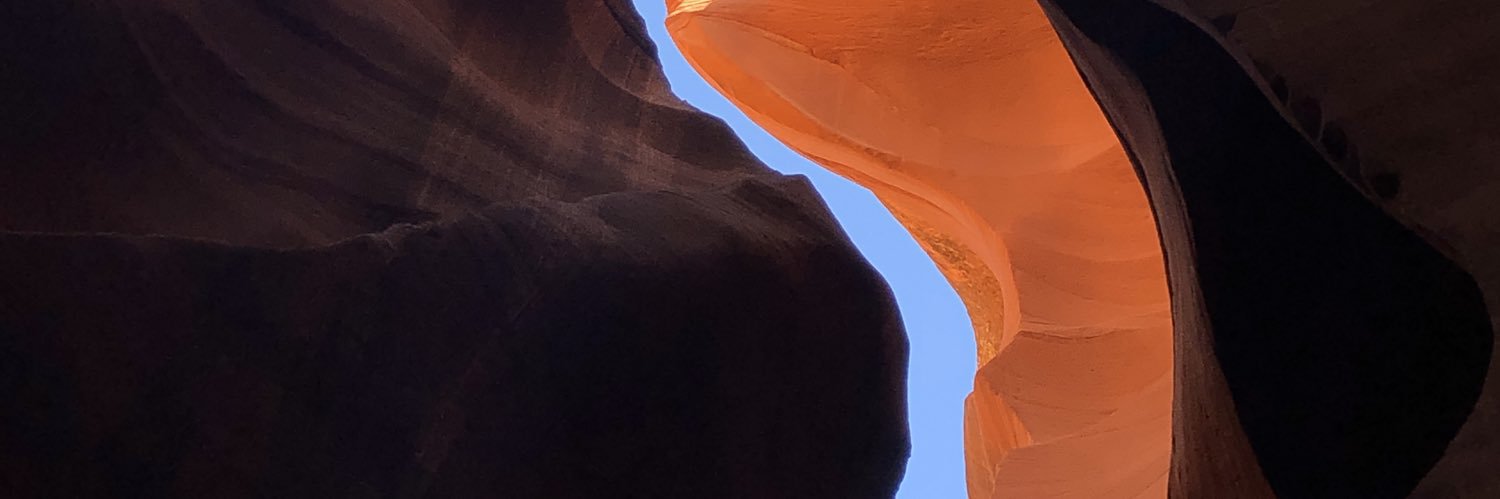 anna_rosenman's profile banner image