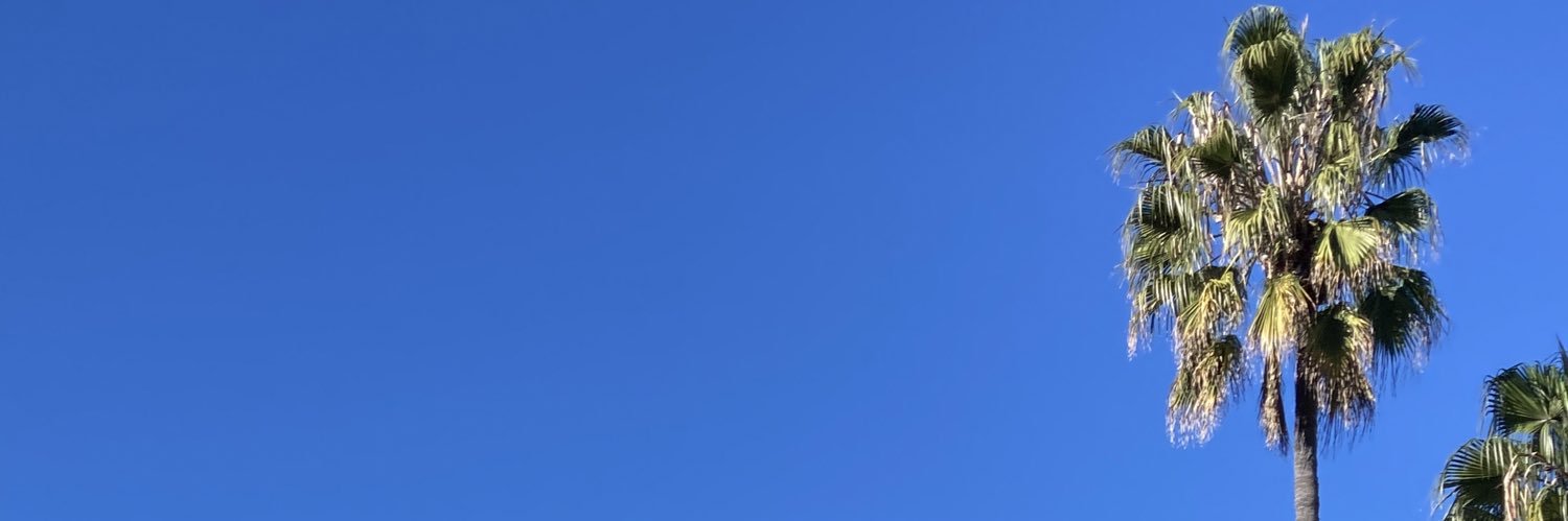 Trealer_'s profile banner image