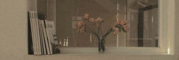 ningidle's profile banner image